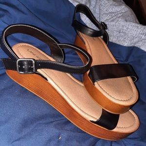 Lane Bryant Size 11 Brand New